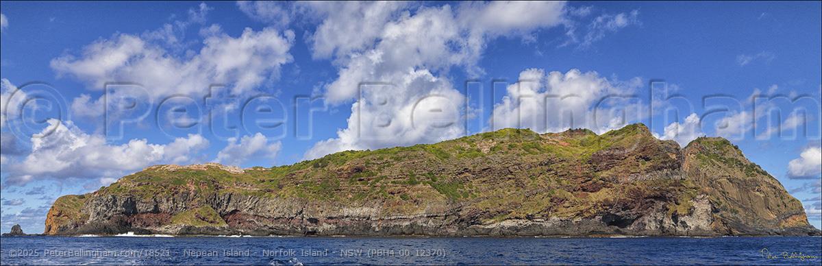 Peter Bellingham Photography Nepean Island - Norfolk Island - NSW (PBH4 00 12370)